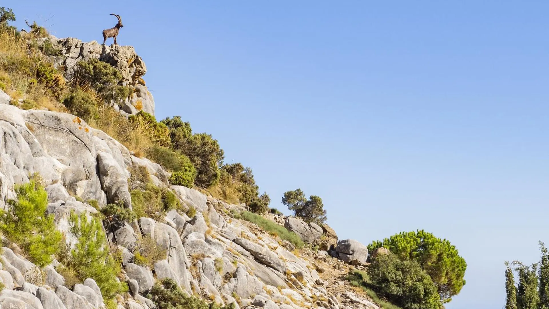 Tatil Evi Cubo'S Casa Mariposa Near Marbella Villa Ojén